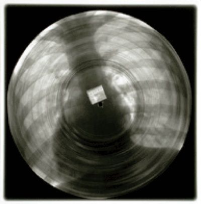 XRAY REX