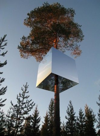 Arch Daily Tree hotel / Tham & Videgård Hansson Arkitekter