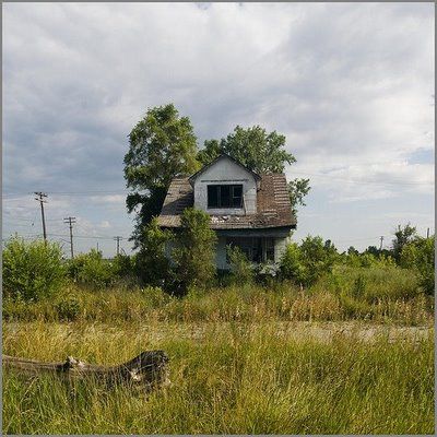 Feral Houses 0