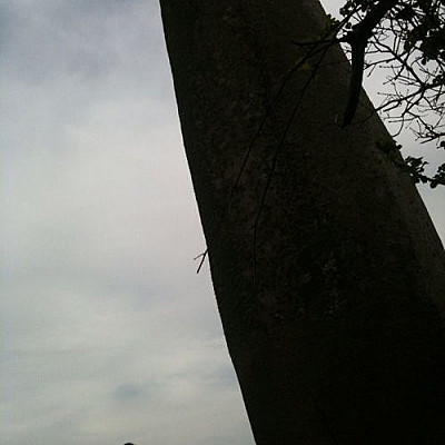 Menhir de Kerloas