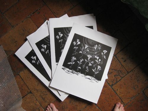 Timo Ketola "Ololiuhqui Resonation" Lithographs, edition of 80