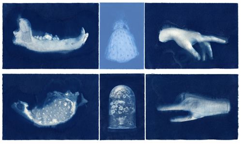 Mathilde DAREL cyanotypes exhibition