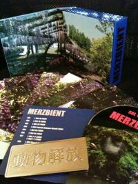 Masami Akita interview