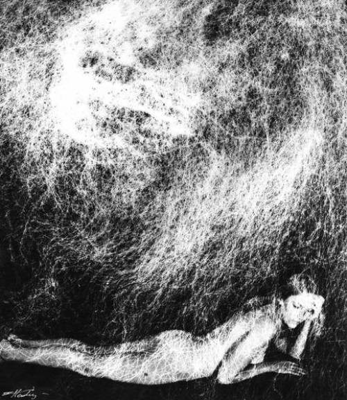 July heat wave internet image finds