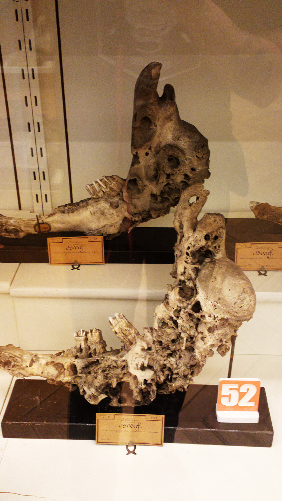 Le musée Fragonard images
