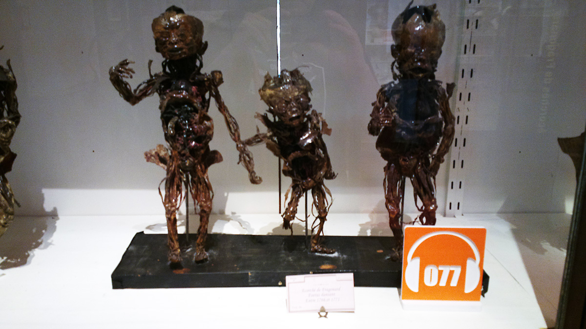 Le musée Fragonard images
