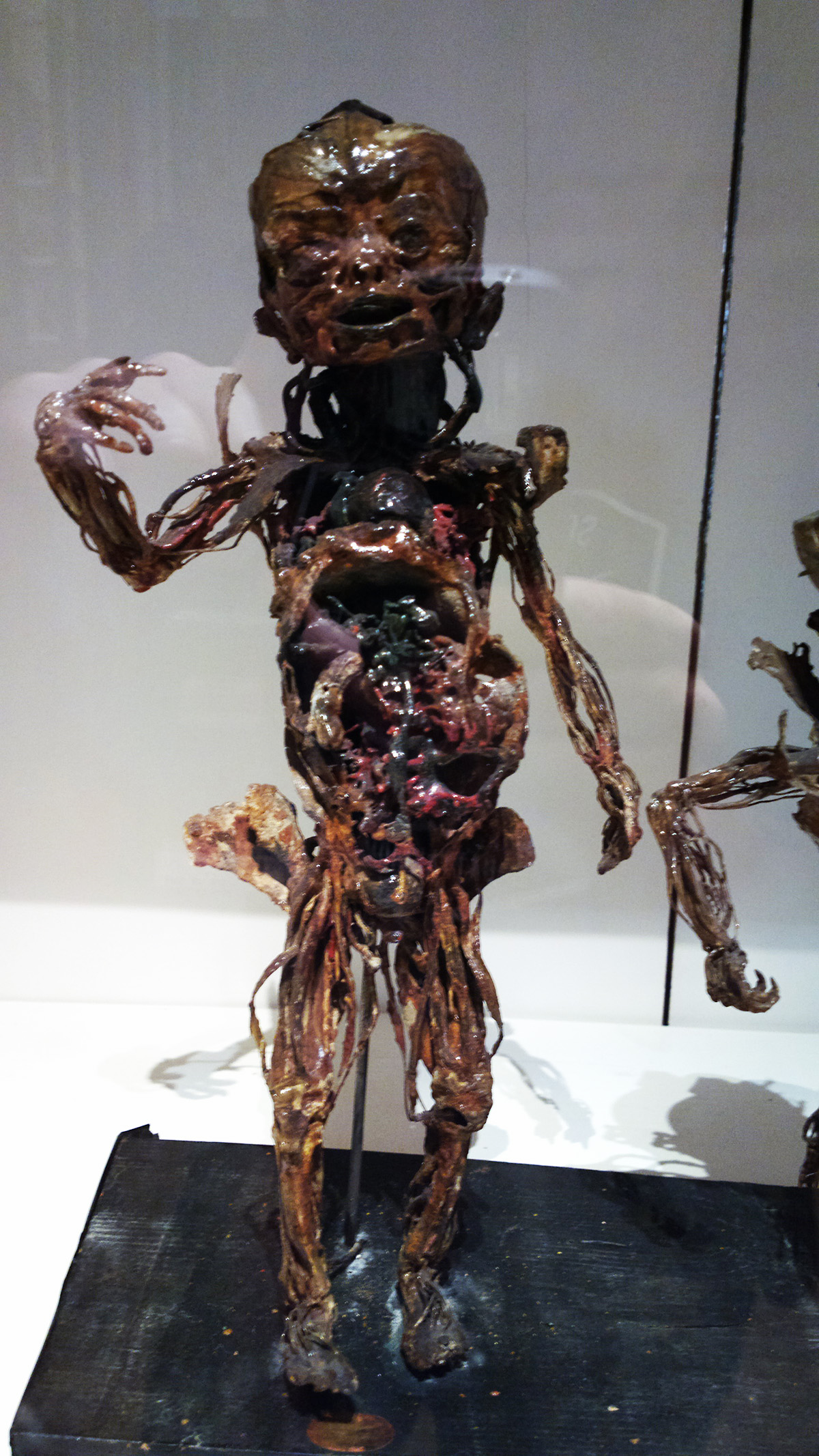 Le musée Fragonard images
