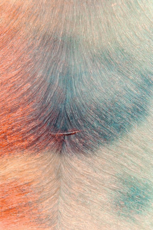 The last week's web eye candy