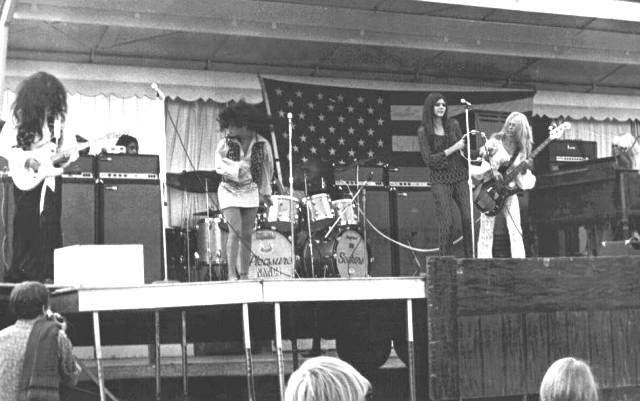 SUNN O))) AMPLIFIER SIGHTING: The Pleasure Seekers (Detroit 1964-1970)