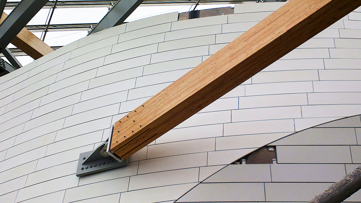 Visit to Frank Gehry Louis Vuitton Foundation for Creation Bois de Boulogne