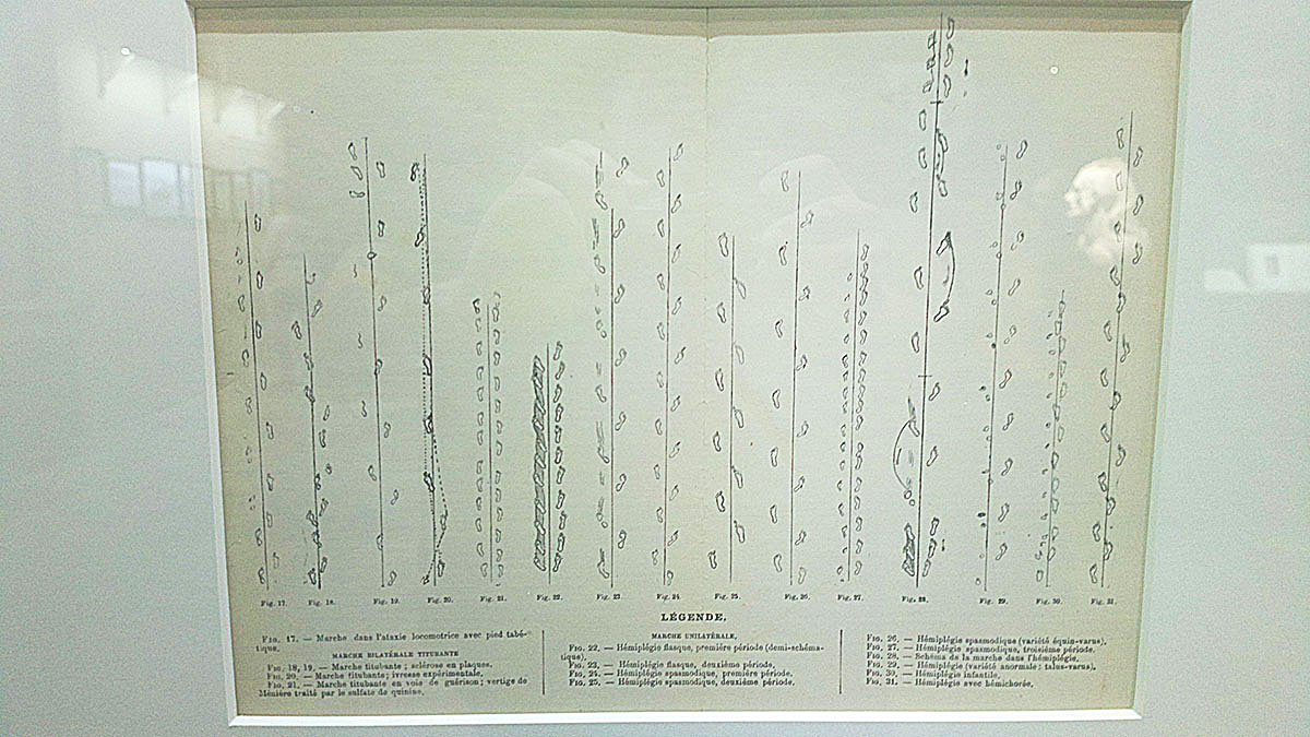 St Louis Church (Salpetriere hospital) Charcot / Quai Branly TATOUEURS, TATOUÉS exhibitions