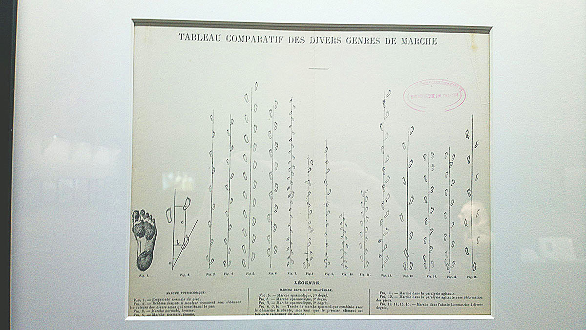 St Louis Church (Salpetriere hospital) Charcot / Quai Branly TATOUEURS, TATOUÉS exhibitions