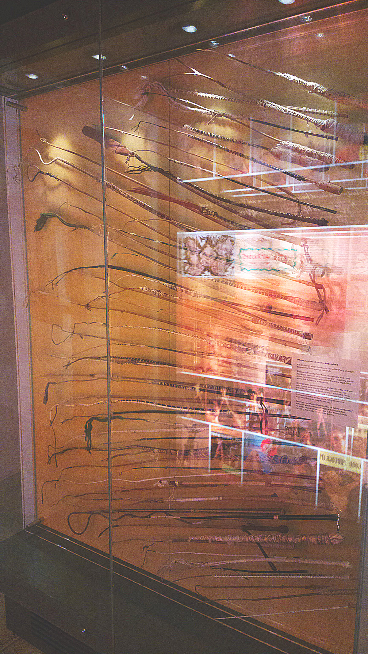 Grainger Museum, Melbourne flagellation section