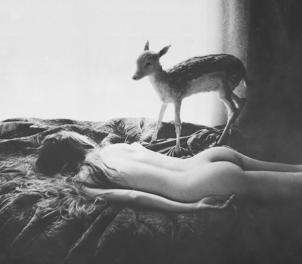 Laura Makabresku: photography & fairy tales