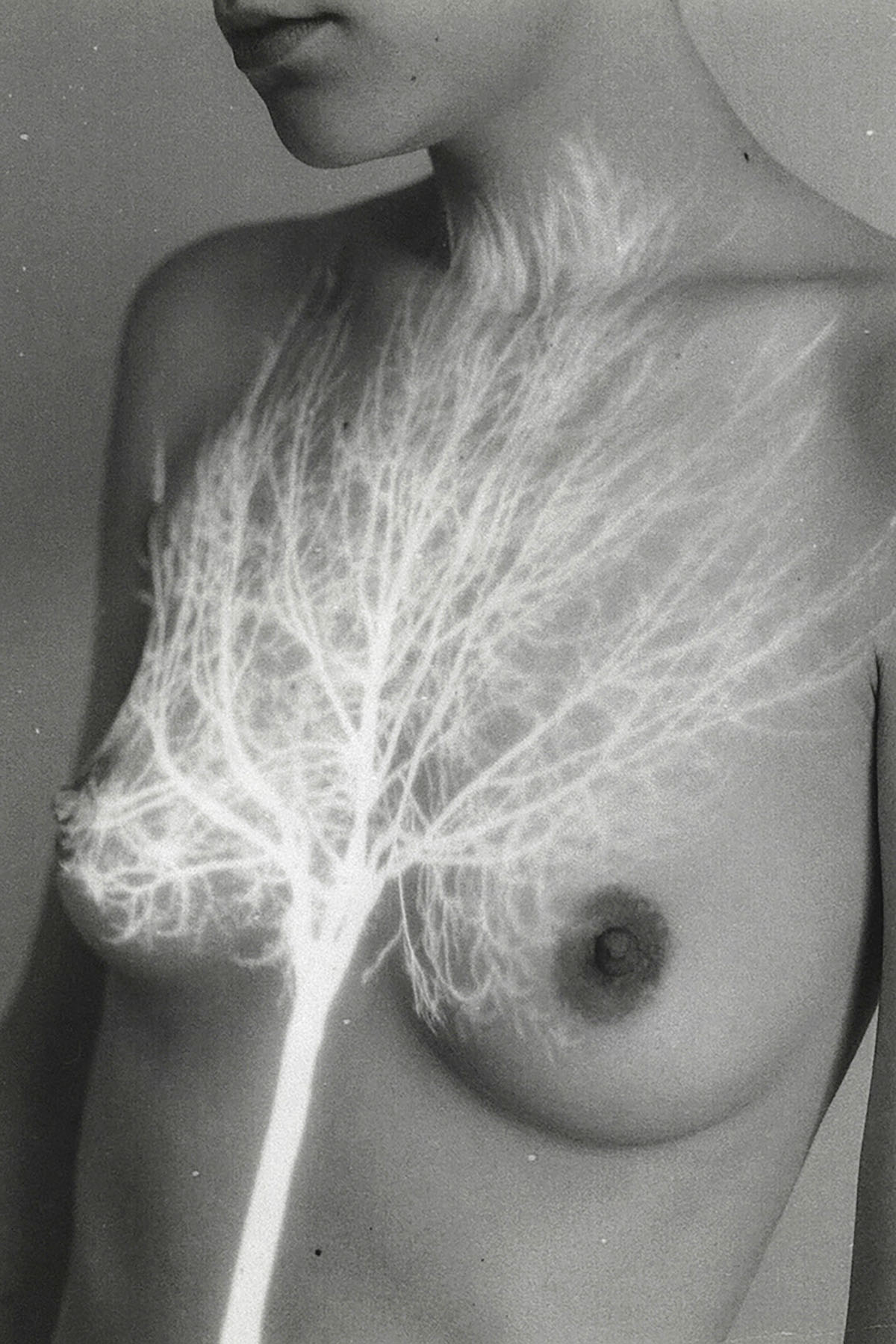 Laura Makabresku: photography & fairy tales