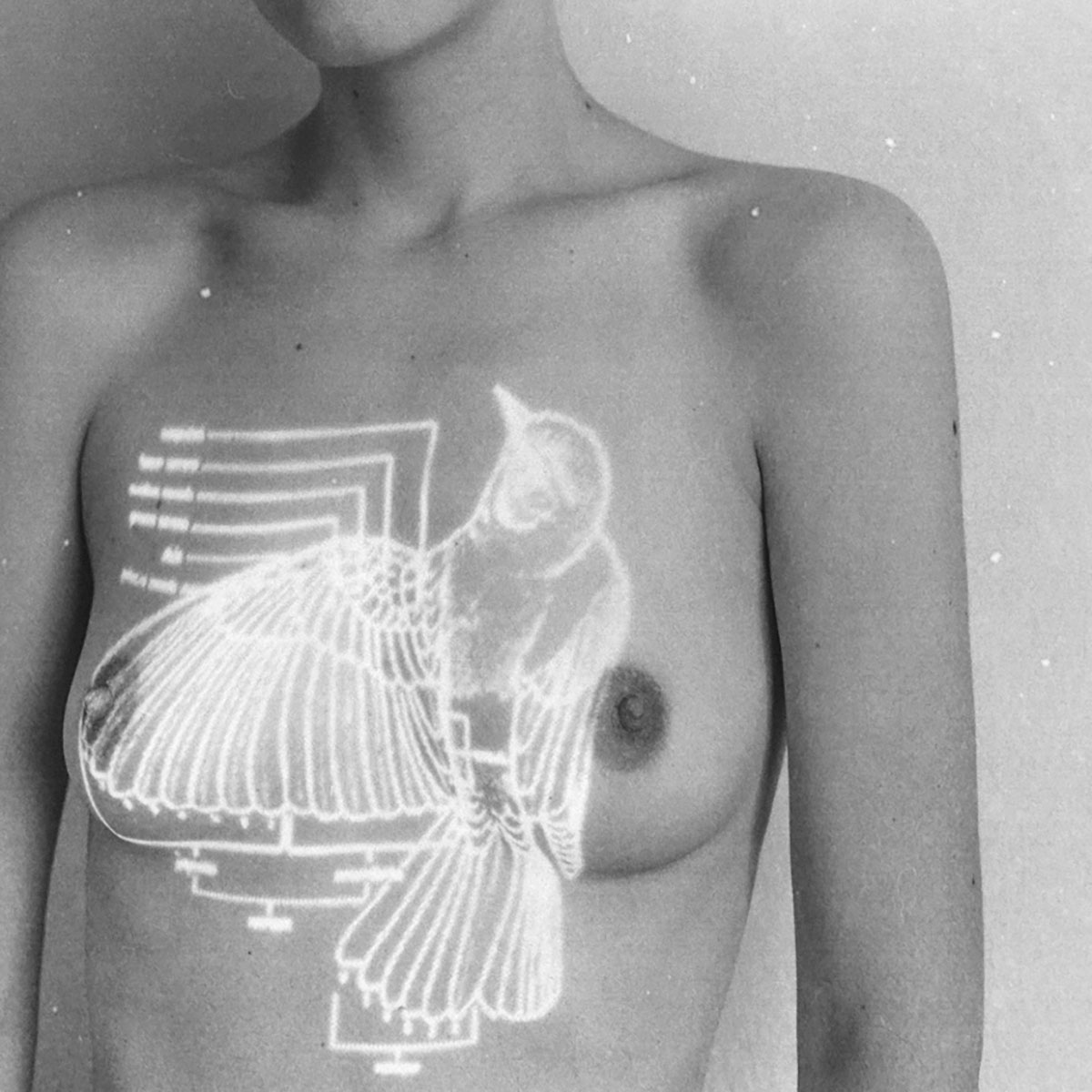 Laura Makabresku: photography & fairy tales